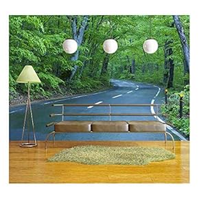 Road in a Green Forest - Removable Wall Mural | Self-Adhesive Large Wallpaper - 66x96 inches