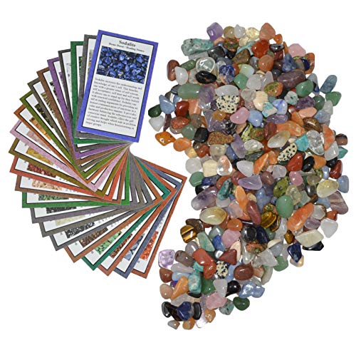 Fantasia Materials: 2 lbs XXSmall Tumbled Polished Natural Gem Stones with Educational Rock Information and Identification Cards - avg 0.25" to 0.75"