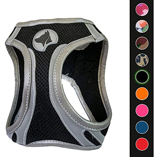CROCI Hiking Harness Reflective, Medium