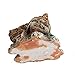 Julyshop Egyptian Pharaoh Ancient Sphinx Ruins Aquarium Fish Tank Ornament Decoration