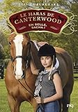 Le haras de Canterwood, Tome 1 : En selle, Sacha ! by 