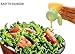Evriholder Dressing 2 Go, 3 PACK, Colors May Vary, 3
