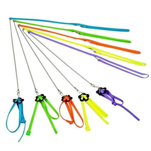 Anti-bite adjustable harness and leash for bird parrot african gr…