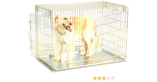 gold dog crate