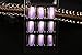 24pcs Fashion Style Symphony Shell Color Pink Purple Metal Shine Bent Lady Artificial False Nail Tips Z108