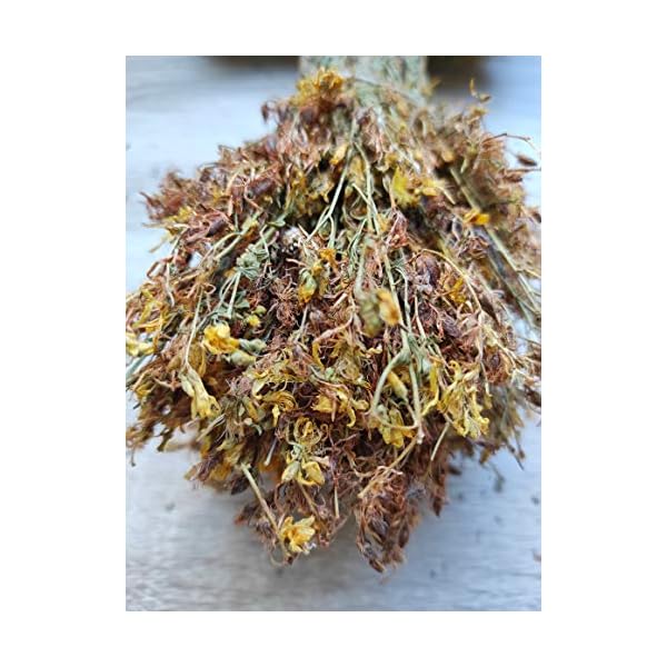 Wilder Johanniskraut-Kräutertee Ganze Bündel 220g - 1.95Kg Ernte Mai 2022 (1950 gramm) – Bild 5