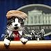 Prymal Comfort Cat Costume for Halloween, Parties and Pictures