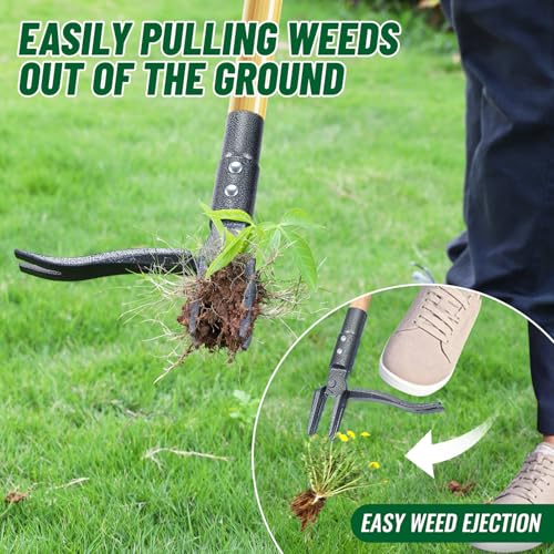 ORMALLA Weed Puller, 43.7in Long Handle Weed Remover, Dandelion Removal Tool, Natural Bamboo Handle and 4 Claws, Stand Up Garden Weed Root Remover, Pet Friendly (43.7in)