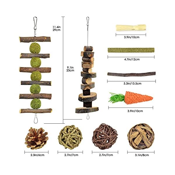 ERKOON-Rabbit-Toys-Hamster-Small-Animals-Treats-Bunny-Chinchilla-Chew-Toy-for-Teeth-Natural-Apple-Wood-Sticks-Boredom-Breaker-for-Guinea-Pigs-Chinchillas-Gerbils-Molar ERKOON Rabbit Toys, Hamster Small Animals Treats Bunny Chinchilla Chew Toy for Teeth Natural Apple Wood Sticks Boredom…