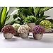 T4U Artificial Succulent Plants Potted, Mini Fake Colorful Lifelike Flowers in Pots for Home Office Wedding Decoration Pack of 6