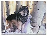 Light Up Wolf Picture - LED Lighted Canvas Print - Grey Wolf in a Snowy Winter Forest Scene with Birch Trees - 16x12 Inch