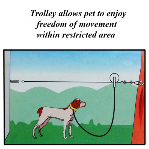 written of cable out is bull how Out Foot Price  Tie Cable Pit  Bull by Tree 50 Dog Trolley