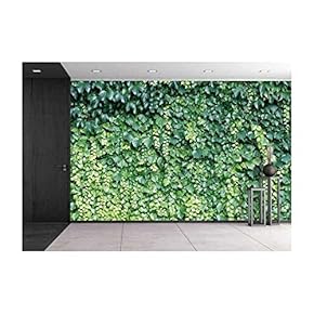 BRAND_NAMENatural Background from Climbing Plants Wall Decor