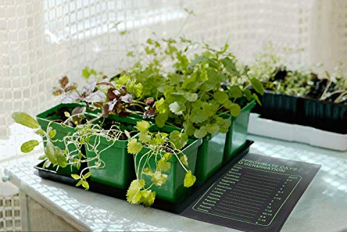Ohuhu Heizmatte Wärmematte für Sämling Germination 2 Stück, Wasserdichtes Heizmatte Pflanzen Gewächshaus Heizkissen Reptil Temperatur Heizkissen Hydroponischer Gartensaatstarter, 25x52 cm – Bild 3