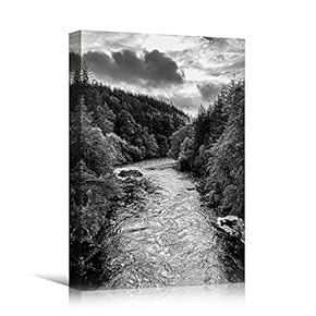 signwin Canvas Wall Art Expressive Landscape Chic Dramatic...