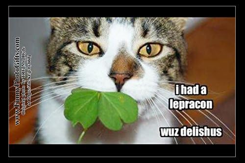LEPRECHAUN LUNCH-- 1 small, funny fridge magnet, 2x3 inch (5.08x7.62 cm), meme decorative magnetic sign plaque, pet cat