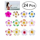 Frcolor 24pc Set 2.4