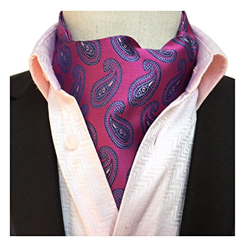 Secdtie Men's Silk Cravat Ties Ascot Jacquard Woven Wedding Party Gift Ideal