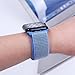Pantheon Woven Nylon Replacement Apple Watch Band by, Sport Loop Edition, For Men or Women, Strap fits the 38mm or 42mm Apple iWatch, Compatible Series 1, 2, 3, Nike (Royal Blue, 38mm)