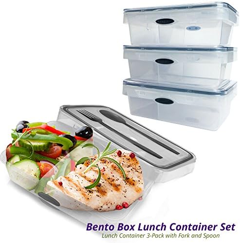 2-Compartment Bento Lunch Box Container 3-Pack, Microwave and Dishwasher Safe Divider Plastic Lunch Box with Utensils