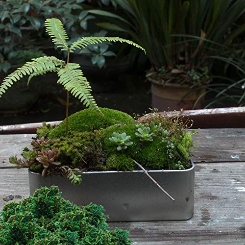 Timoo Fake Moss for Potted Plants Forest Preserved Moss Bulk Artificial