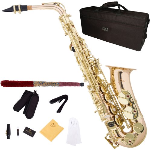 Cecilio 3Series AS-380 Brass Eb Intermediate to Advanced Alto Saxophone with Mouthpiece, Case, 10 Reeds and Accessories - Gold