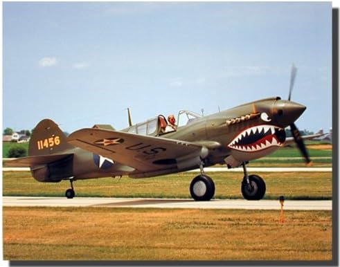 P-40 Warhawk Military Jet Airplane Aircraft Aviation Wall Decor Art Print Poster (16x20)