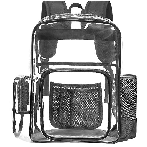 transparent laptop bag