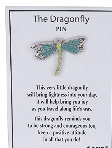 Turquoise and Green Accentend Metal Dragonfly Pin - By Ganz