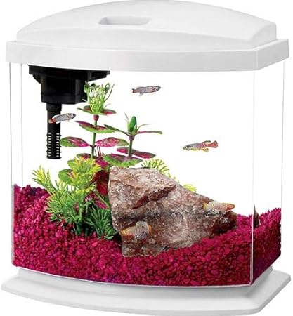 mini bow 5 gallon fish tank