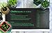 Seedling Heat Mat for Plants 2 Pack, Ohuhu 10