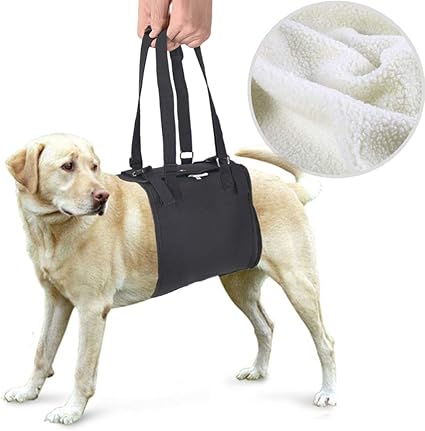 Arthritis Disabled Joint Injuries Pet Rehabilitation Lifts Vest Adjustable Breathable Straps For Old Paralysis Dogs Walk Full Body Support Recovery Sling Coodeo Dog Lift Harness Vest Harnesses Harnesses Easystaff It