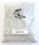Bonsai Jack 1/4 inch Horticultural Pumice Soil Amendment for Cactus and Bonsai, 2 Quarts