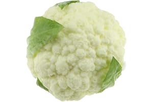 Gresorth 1 PCS PU Fake Broccoli Decoration Artificial Vegetable Home Kitchen Play Food Photography Props - White