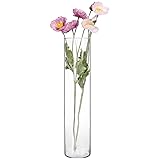 Fixwal Tall Glass Cylinder Vases, 16" H x