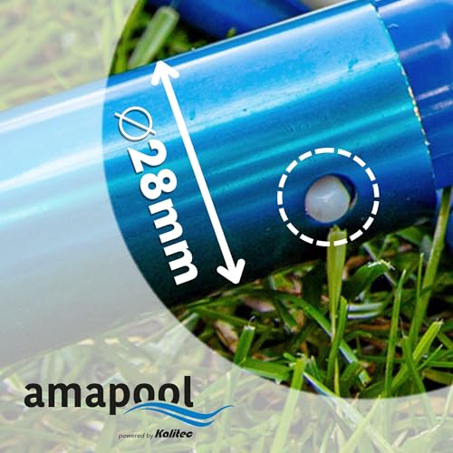 Amapool Basics Pool Floor Suction Cleaner with Eight Lower Bristles, Extra-Heavy Design, Pool Brush with Clip-On Connection for Pool Hose, Diameter 32/38 mm