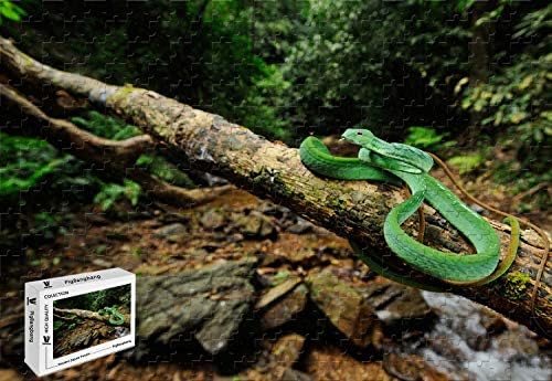 Amazon Pigbangbang 29 5 X 19 6インチ 木製 野生動物グリーンスネークツリーストリーム 1000ピース ジグソーパズル ジグソーパズル おもちゃ