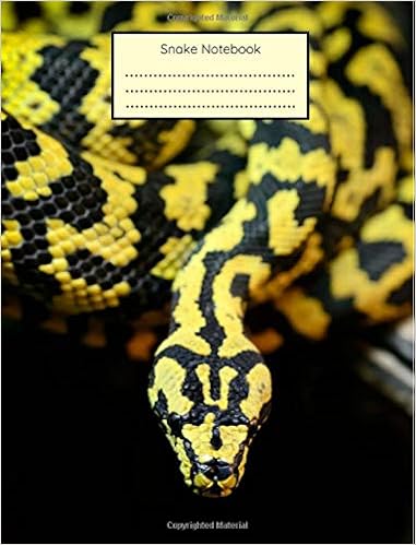 Snake Notebook Jungle Carpet Python Snake Journal Reptile Lover Book College Ruled 200 Pages Thames Mitzi 9781726024846 Amazon Com Books