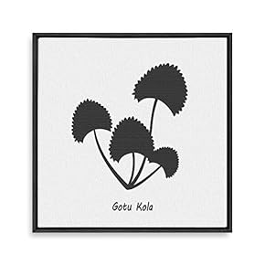 Framed Canvas Wall Art for Living Room, Bedroom Nordic Style Plants Theme Canvas Prints for Home Decoration Ready to Hang - 16x16 inches