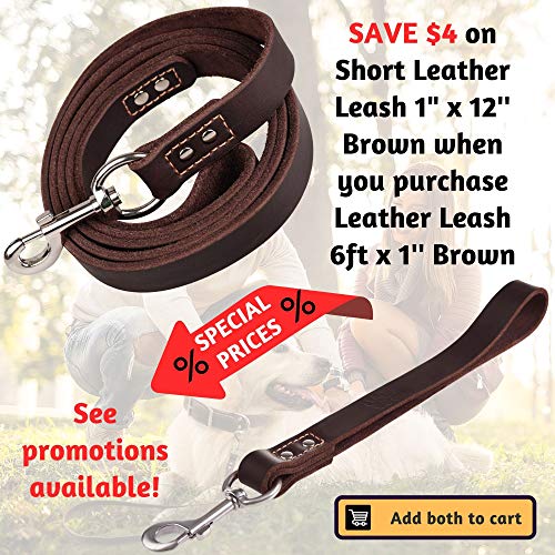 ADITYNA - Heavy Duty Leather Dog Leash 6 Foot - Strong and Soft Leather Leash for Extra Large, Large and Medium Dogs - Dog Training Leash (XL - 6 ft x 1 inch, Brown)