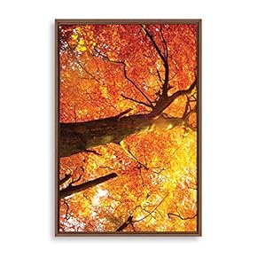Framed for Living Room Bedroom Beautiful Gold Forest for