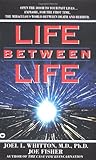 Life Between Life by Joel Whitten, Joe Fisher