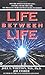 Life Between Life by Joel Whitten, Joe Fisher