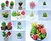 Fake Plants Artificial Succulent Decoration – Faux Unpotted plantas artificiales decorativas, string of pearls cactus, decorative desk plant, shelf decor, small decorations for living room (set of 16)