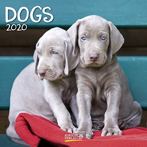 Download Dogs 2020: Broschürenkalender mit Ferienterminen. Hunde und Welpen PDF
