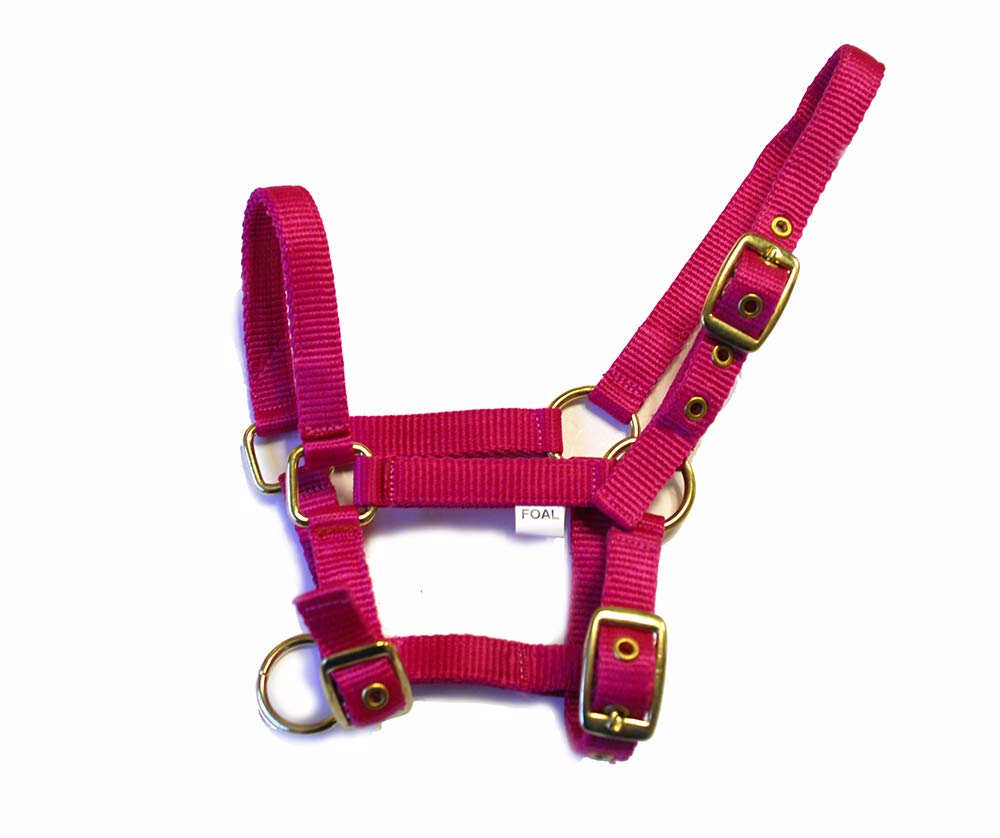 Rhinegold Nylon Foal Headcollar - Raspberry