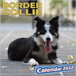 small collies