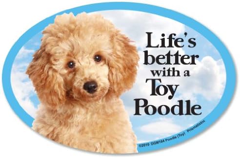 PrismatixDecal Dog Pet Magnets, Pomeranian - Life's Better with a Pomeranian - Strong Durable Car or Fridge Magnet Decal with Bright Colors, Great Gift for Dog Mom or Dad, 6 x 4 inches