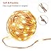 TaoTronics TT-SL006 66ft 200 LED String Lights with RF Remote Control, Super Soft Waterproof Copper Wire for Indoor and Outdoor (Warm White)