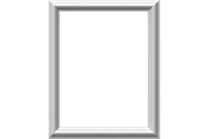 Ekena Millwork PNL16X20AS-01 16"W x 20"H x 1/2"P Ashford Molded Classic Wainscot Wall Panel